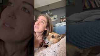 This Dog Loves Singing With His Owner [upl. by Cordell]