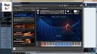 Native Instruments  Mallet Flux  Demo [upl. by Ivers]