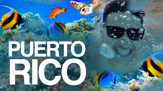 Snorkeling in Puerto Rico  What to do in Puerto Rico [upl. by Towny]