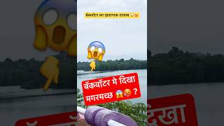 बॅकवॉटर का ख़तरनाक तालाब 😱🥵  Crocodile  Crocodile in Water  Crocodile in Lake shorts ytshorts [upl. by Ajaj]