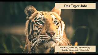 Jahreshoroskop Jahr des Tigers 2022 Schmusekätzchen oder ausgefahrene Krallen [upl. by Sucramd243]