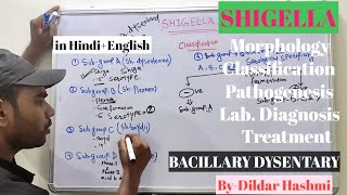 SHIGELLA  BACILLARY DYSENTERY  Microbiology  MBBS  Dildar Hashmi [upl. by Lolly]