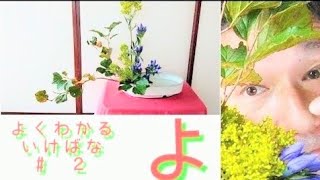 【よくわかる生け花】いけばな小原流 盛花、傾斜型、秋の花竜胆りんどうと女郎花おみなえしと万作まんさくで、生け花レッスン！色彩盛花色彩本位 [upl. by Ahsratal]