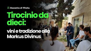 Tirocinio da dieci vini e tradizione alla Markus Divinus [upl. by Yanahs]