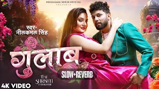 Gulab  neelkamalsingh New song  NeelkamalSinghOfficial pawansingh lofi [upl. by Regni]