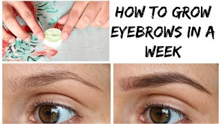 How to Grow Your Eyebrow in a week  Naturally  Very Effective [upl. by Aklog798]