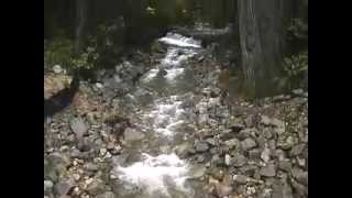 Cedar Creek Fish Passage Restoration [upl. by Sachiko244]