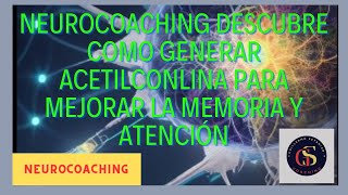 Neurocoaching descubre como la acetilconlina para mejorar la memoria y atencion [upl. by Dej807]