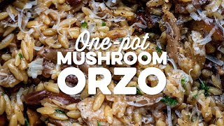 Onepot Mushroom Orzo  Supergolden Bakes [upl. by Aihcrop]