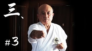 Zenpo Shimabukuro senseis seminar 3  Shorinryu  少林流沖縄伝統空手 [upl. by Eesac591]