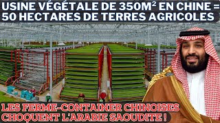 Incroyable 10 Tonnes De Légumes Sur 350m² Comment Les Fermes Chinoises Révolutionnent LAgricultur [upl. by Eibur]