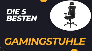 Die 5 Besten Gamingstühle UNTER 200€ 2024 [upl. by Sucramel516]