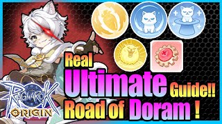 Real ULTIMATE Doram Guide Equipment Skill with Tips Included Ragnarok Origin Global [upl. by Racso]