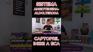 Sistema reninaangiotensinaaldosterona enfermagem tecnicodeenfermagem [upl. by Ettenan]