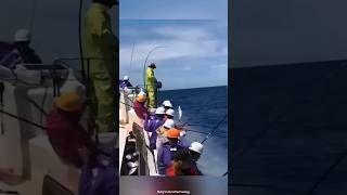 Fishermen use oldfashioned methods to catch Tuna [upl. by Jonathon]