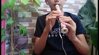 If We Hold On Together by Diana Ross  Flute Recorder Cover [upl. by Nekial]