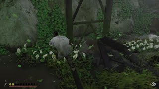 Marsh Rock Shrine glitch [upl. by Saraiya748]