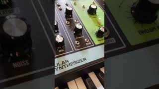 Drum Synth Analog Echo Samples [upl. by Doughman]