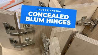 All the main Blum hinge types explained [upl. by Epillihp136]