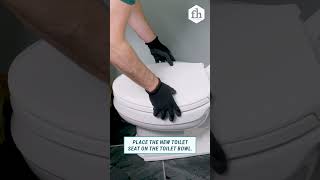 How to Replace a Toilet Seat [upl. by Laughry446]