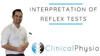 Interpretation of Reflex Tests  Clinical Physio [upl. by Goldwin]