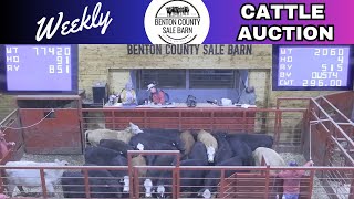 10242024 Benton County Sale Barn  Cattle Auction [upl. by Nwahsauq732]