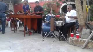 Marimbadelsureste baylando jalon veracruzver [upl. by Lefty]