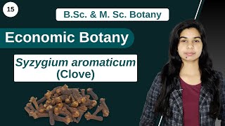 Economic Botany  Syzygium aromaticum  Clove  B Sc amp M Sc [upl. by Joslyn]