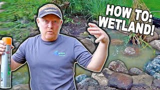 How to Build a Wetland Filter for an Existing POND [upl. by Salohci19]