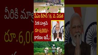 Pm Kisan latest updates  Pm Kisan Beneficiary List 2024  PmKisan Payments  PMKisan [upl. by Eelyahs]