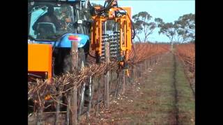 Pellenc TRV60 with Visio Pruning Machinewmv [upl. by Badr926]