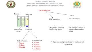 22 practical biochemistry protein  urea  uric acid and glycerol  non nitrogenous compound [upl. by Sklar]