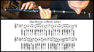 Tuto Irish Flute  Dan Breens Reel Ador [upl. by Ynney]