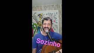 Sozinho  Caetano Veloso [upl. by Gianni281]