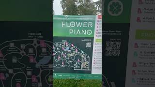 Playing Flower Piano 921 Conifer Lawn 1PM kittenonthekeys 🌸🎹sanfrancisco botanicalgarden [upl. by Ielirol928]