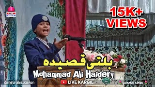 Beautiful balti Qasida by nono Mohd Ali Haidery Silmo  jashne wiladat Imam Zaman aj [upl. by Thomsen]