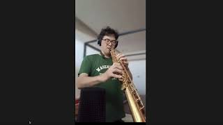 月亮代表我的心II Soprano Saxophone Joseph Wu [upl. by Sibby]