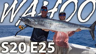 Wahoo Fishing Reports in Florida Where to Go and What to Know [upl. by Etienne649]