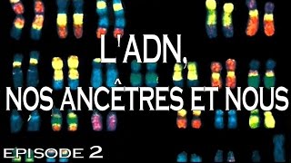 2  LADN nos ancêtres et nous [upl. by Gauldin]