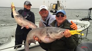 FOX Sports Outdoors SouthWEST 2  2017 Lake Tawakoni Texas Trophy Blue Catfish [upl. by Edras]