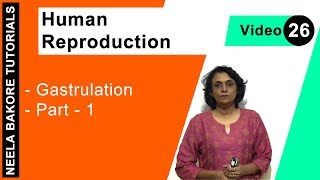 Human Reproduction  NEET  Gastrulation  Part 1  Neela Bakore Tutorials [upl. by Icat878]