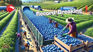 2024’s RecordBreaking Harvest Millions of Tons of Crops Gathered Across the US [upl. by Borg326]