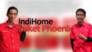 Paket Phoenix  IndiHome [upl. by Ahsieit]