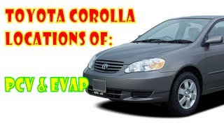 Toyota Corolla emissions locations PCV amp EVAP [upl. by Orestes]