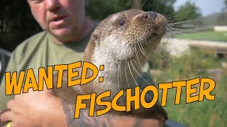 Steckbrief Fischotter [upl. by Einwat]