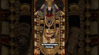 Sri Venkateswara Stotram [upl. by Leary943]