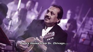 LARAS THEME FROM Dr ZHIVAGO ON MANDOLIN BY PRADIPTO SENGUPTA [upl. by Nilram]