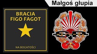 BRACIA FIGO FAGOT  Małgoś głupia OFFICIAL AUDIO [upl. by Trix]