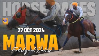 Horse Race  Marwa  Fatehgarh Sahib  27 Oct 2024  Khalsaji Tv [upl. by Sevart822]