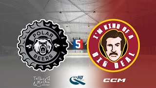 Polar Beers v Big Deals  Div 5  13th November  IceHQ Rec League ice hockey [upl. by Adelaida]